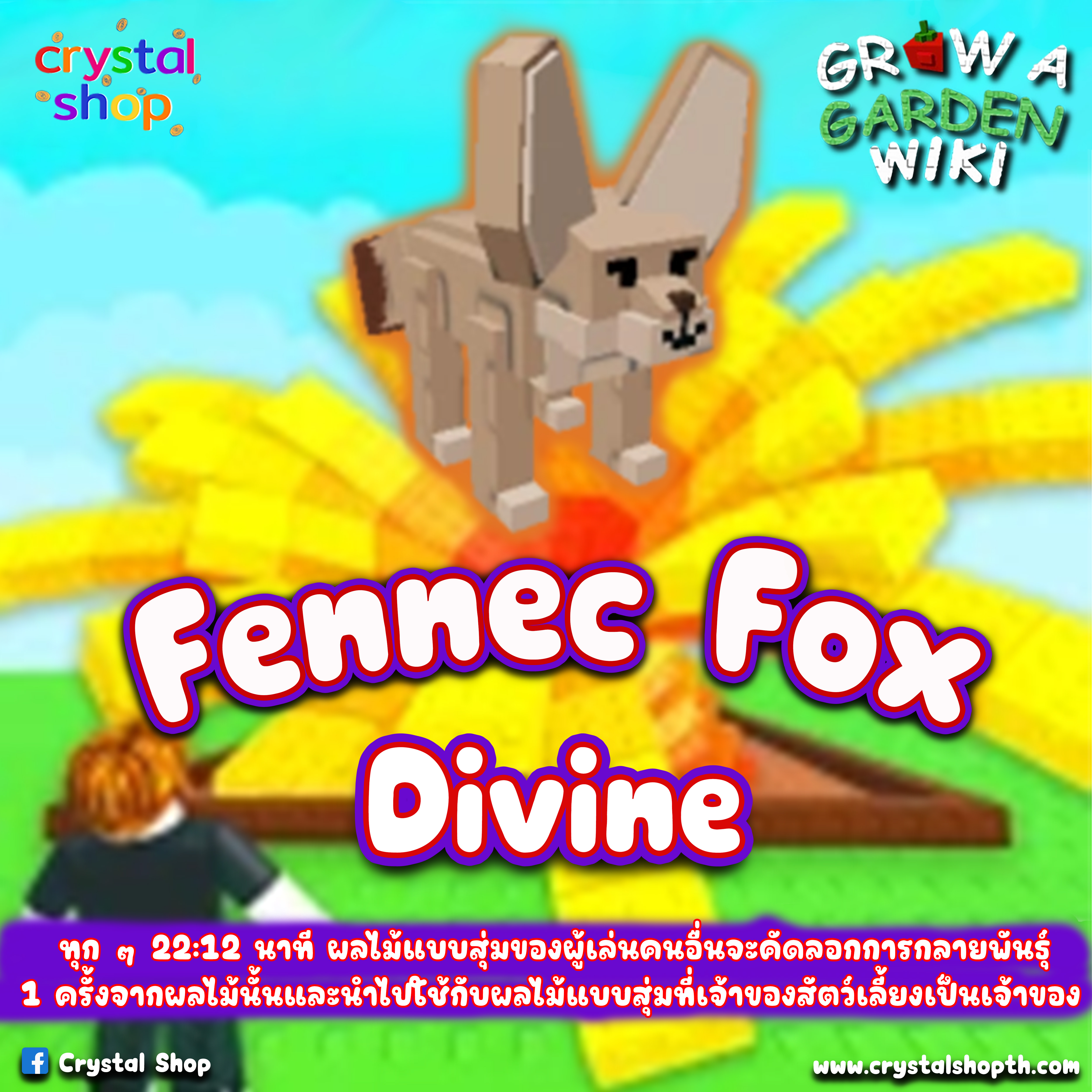 Fennec Fox